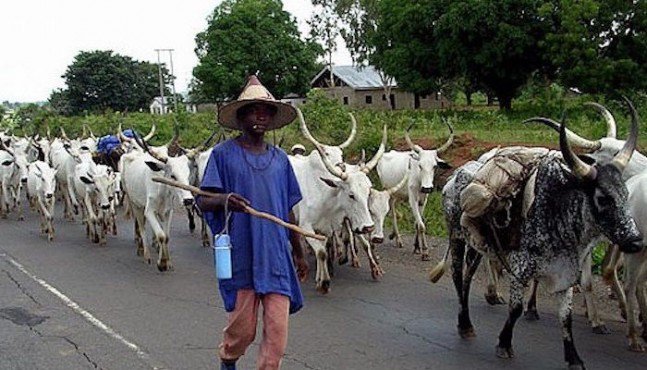 Four North Central States Loses $13.7bn To Farmers-Herdsmen Clash