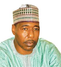 ANRP urges Borno governor-elect to run people-oriented administration
