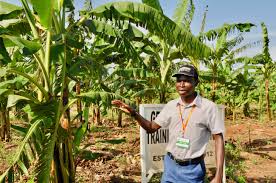 IITA youth agripreneurs provides avenue to access single-digit loans in 2019