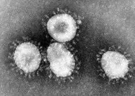 Swedish palace postpones official dinner over coronavirus