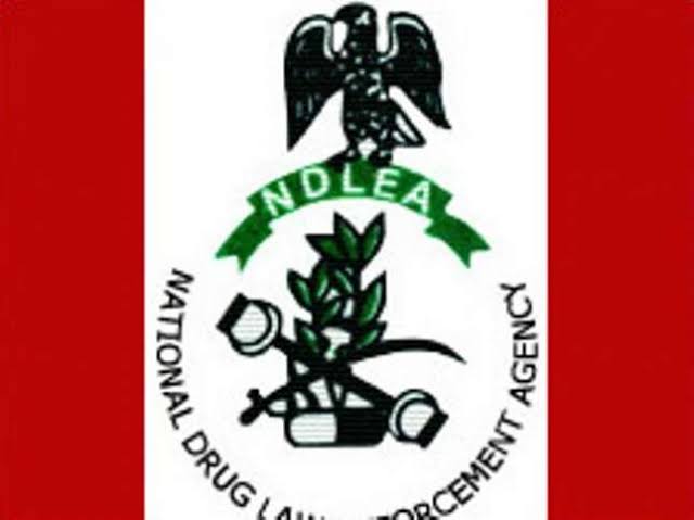 NDLEA arrests 100 suspected drug traffickers in Edo