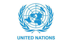 UN strategizing to strengthen ”protection of education” in Nigeria -Coordinator