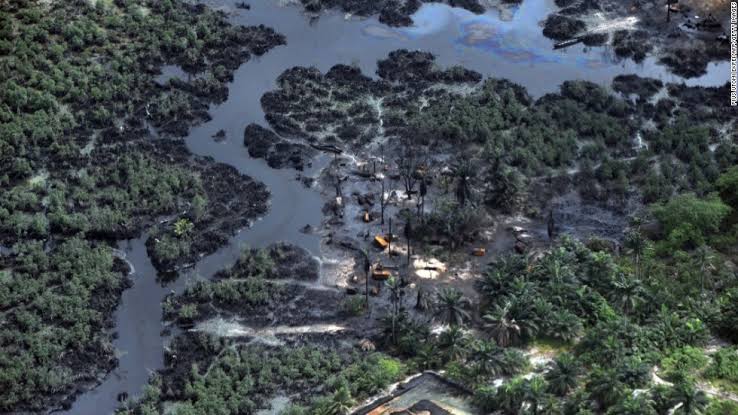 Enviromentalist calls for proactive measures to save Niger-Delta