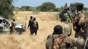 Military knocks out more terrorists’ enclaves in Borno – DHQ