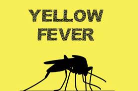 8 die, another 8 test positive to Yellow fever in Ganjuwa, Bauchi