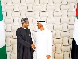 UAE celebrates cooperation with Nigeria as it marks 49th Anniversary