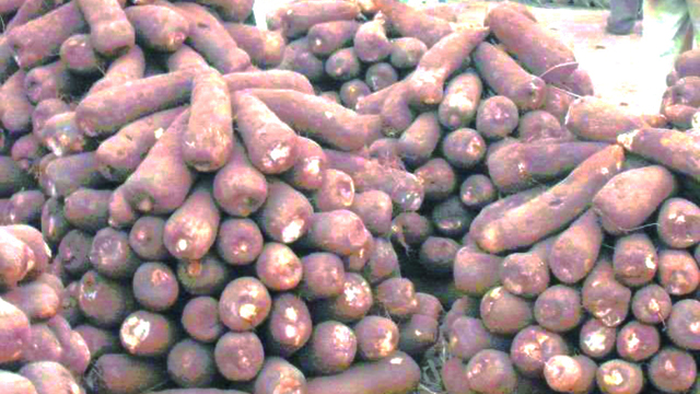Prices of root and tuber crops increase in FCT markets