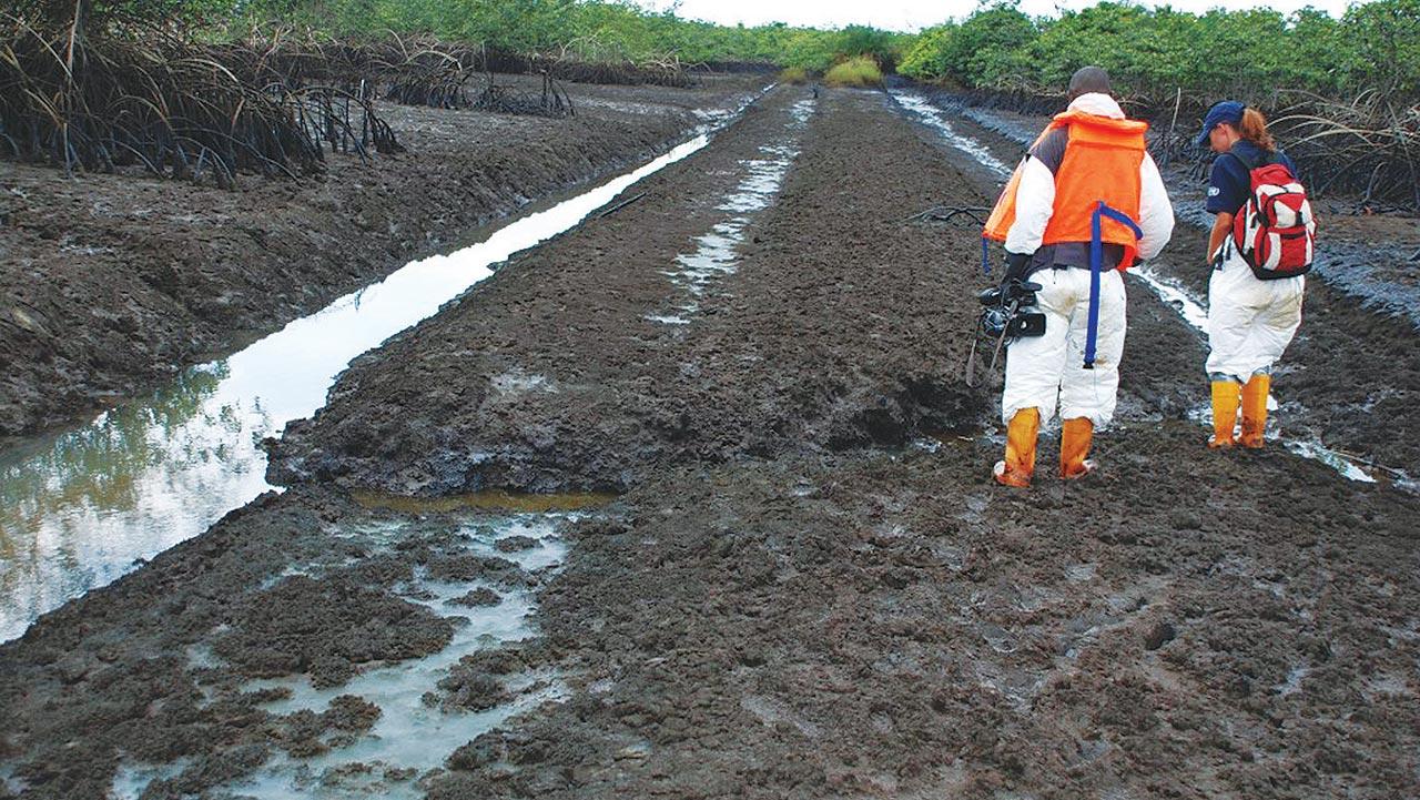 Ogoni people want FG to build contaminated soil management center