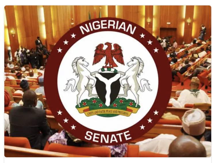 Senators Reject President Tinubu’s Request for Military Intervention in Niger