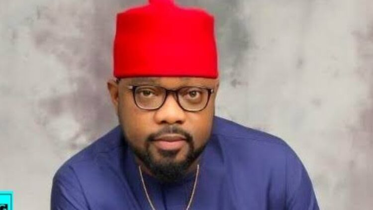 Ugochinyere Challenges Tribunal Judgment on Ideato Reps Seat