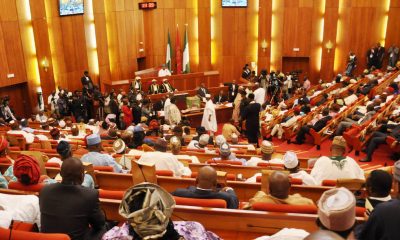 N100bn CNG buses: Senate rejects CBN loans, warns Tinubu against illegal spending