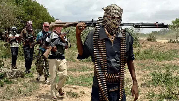 Fresh Attack in Kaduna: 87 Abducted by Terrorists