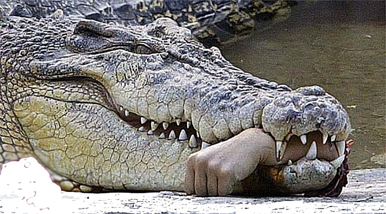 Headline: Crocodile Kills Woman Bathing in Indonesian River