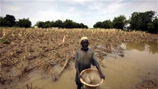 Nigerian Lawmakers Call for Global Climate Tax on Multinationals