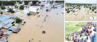 DAM COLLAPSE: Group Absolves Borno Government.