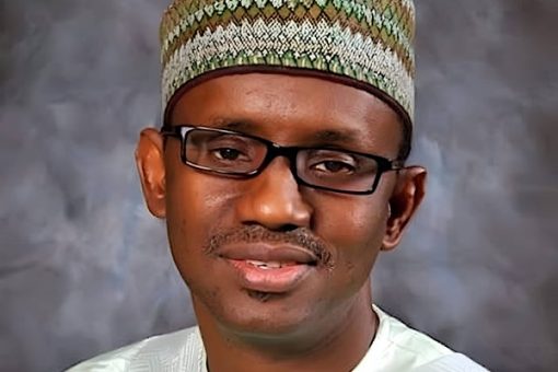 NSA Nuhu Ribadu: Illicit Weapons in Nigeria Linked to Federal Government Sources