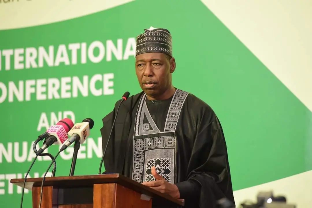 Zulum Advocates Chinese Model for Choosing Leaders in Nigeria