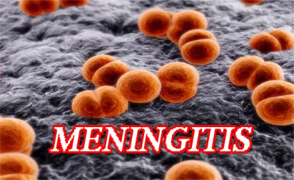 Cerebrospinal Meningitis: NCDC Records 4915 Suspected Cases, 361 Deaths Across 174 LGAs