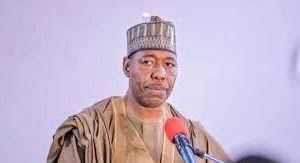 Zulum lauds Rep. for providing democratic dividends to constituents.