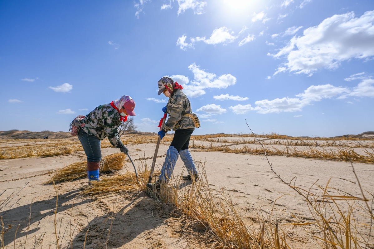 China makes remarkable progress in desertification control and UNCCD fulfillment