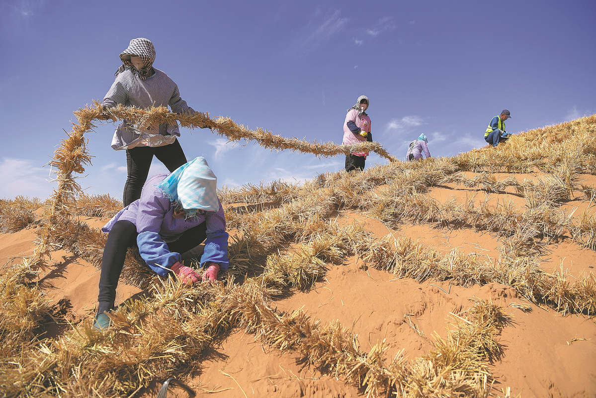 China makes new successes in desertification prevention and control